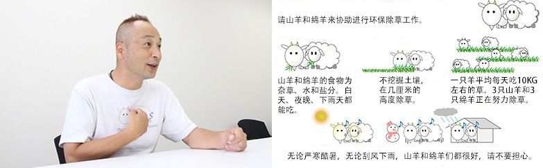 為了加深大家對“山羊和綿羊除草”的理解，制作Ｔ恤衫和看板。